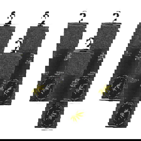 t4option1_1