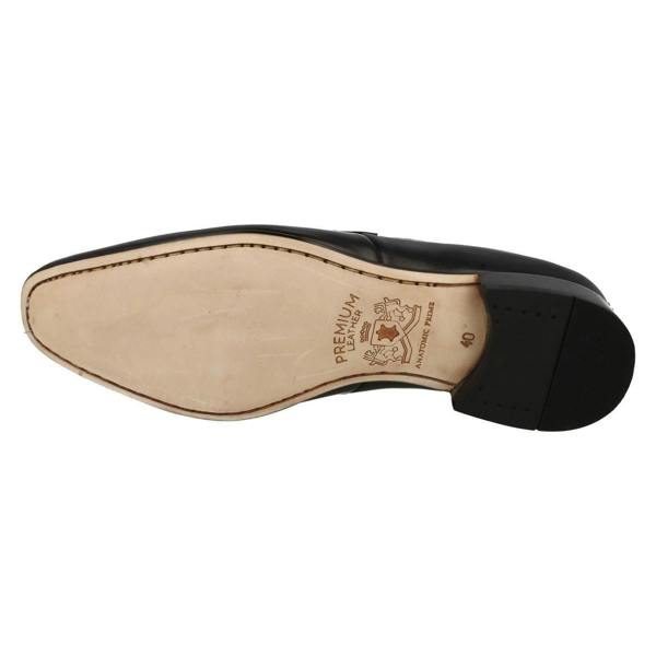 ANATOMIC Mens Anatomic Smart Slip On Shoes Sergipe 2