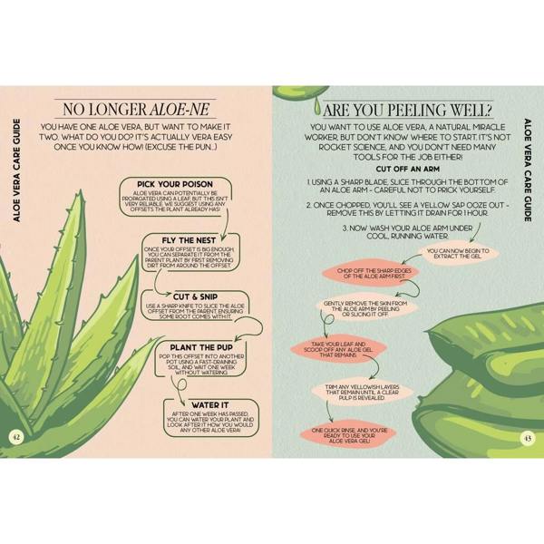Houseplant Survival Guide - lifestyle shot