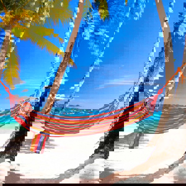 Hammock