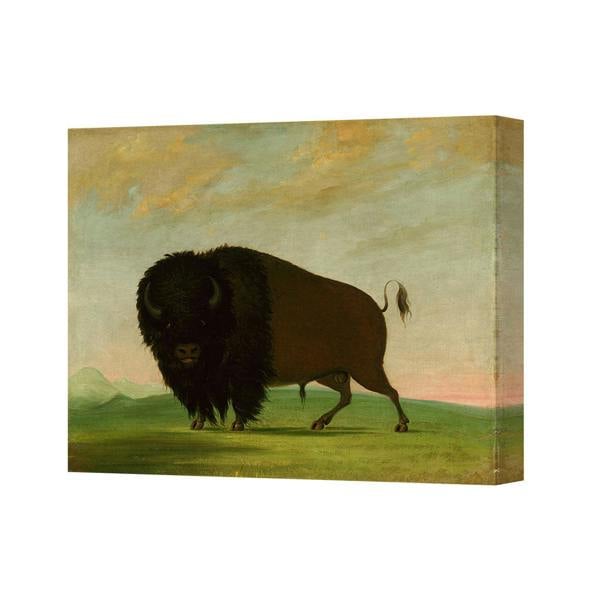 Benjamin Tate Design American Bison On Prairie Canvas Wall Art Print In Oil Finish