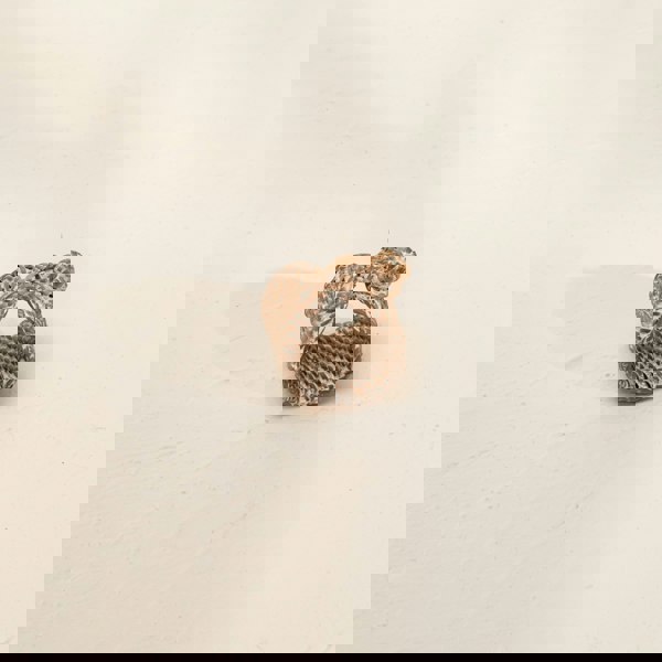 Coastal villa Homeware Shell Coastal Wicker Napkin Rings In 4 Colours