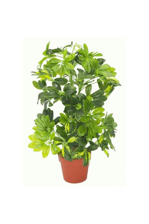 Dyzi 75cm Golden Capella Plant with Metal Planter
