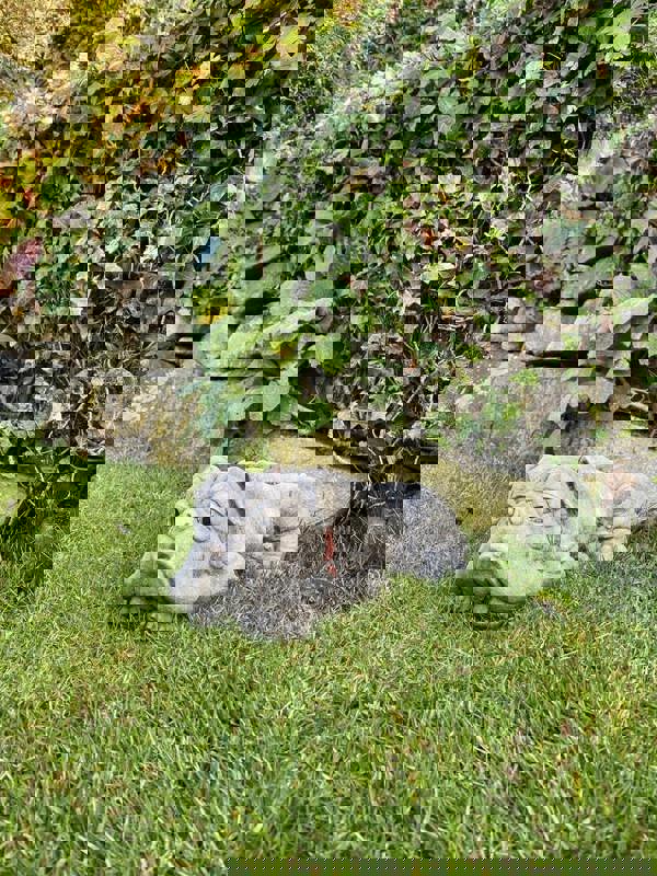 Lying Bulldog Small Garden Ornament