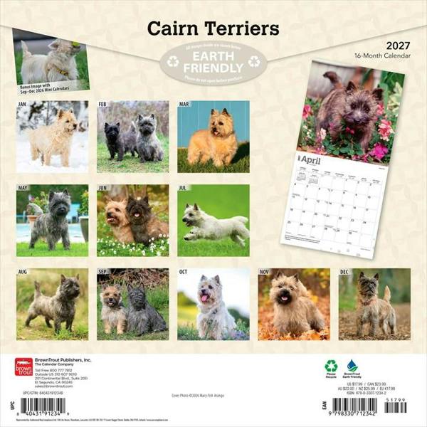 Cairn Terriers Calendar 2027, Wall Calendars, Month To View, Dogs, Gift