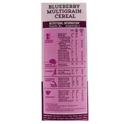 Manna CRUNCHIES FRUIT & NUT BLUE BERRY-300g (pack of 1)
