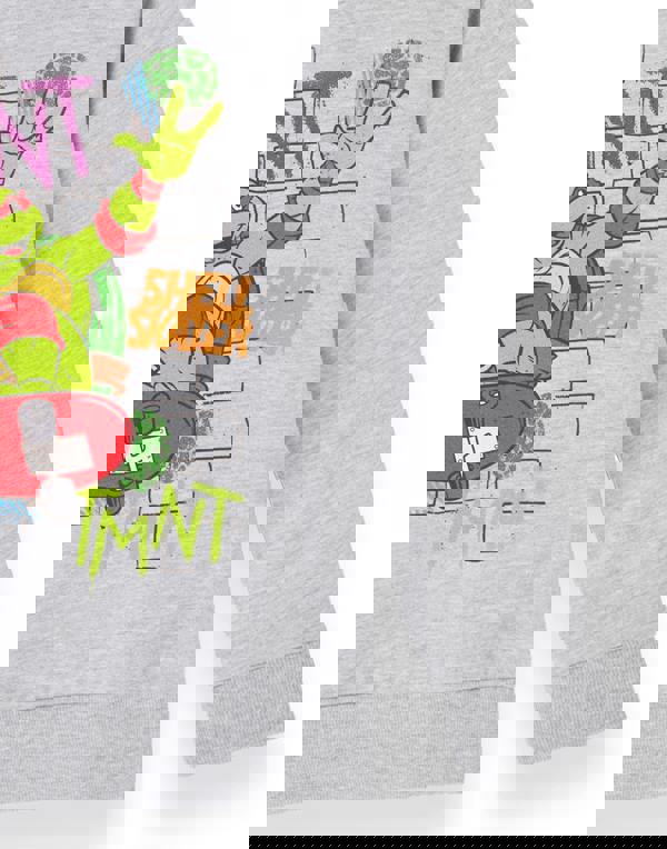 Teenage Mutant Ninja Turtles Boys Grey Shell Skater Hoodie