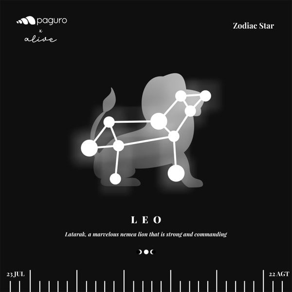 Paguro Leo Zodiac Sign Sustainable Necklace