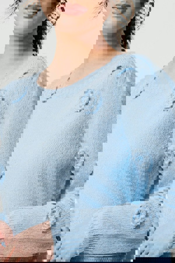 Blue | Floral Embroidered Cropped Jumper
