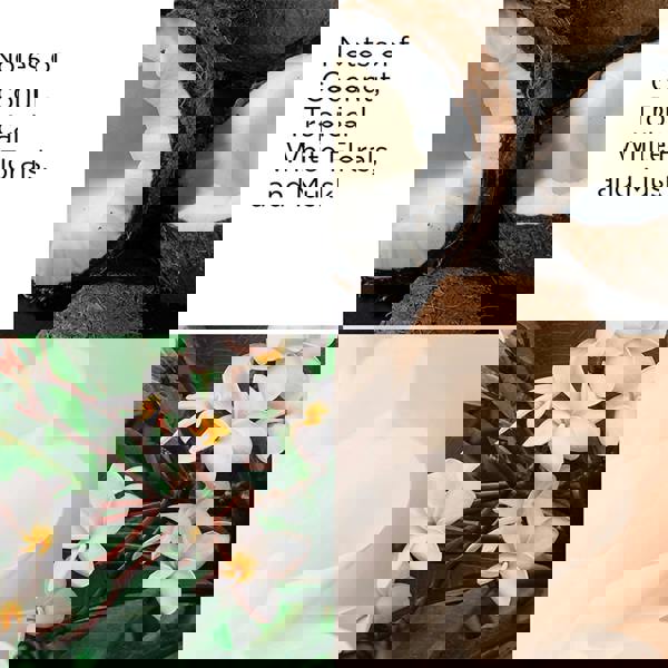 Elizabeth Arden Green Tea Coconut Breeze Honey Drops Body Cream 500 ml