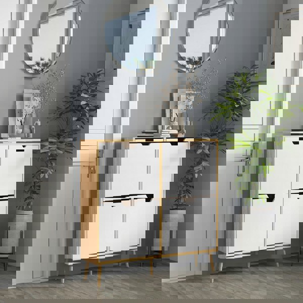 Flip-down Shoe Cabinet