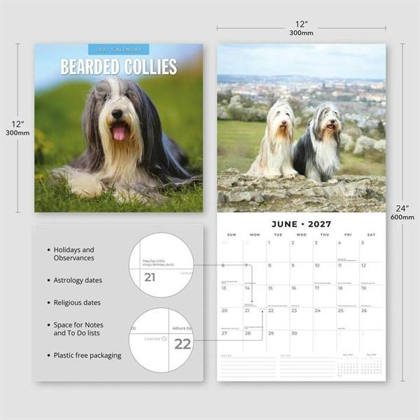 Bearded Collies Calendar 2027, Wall Calendars, Month To View, Dogs, Gift