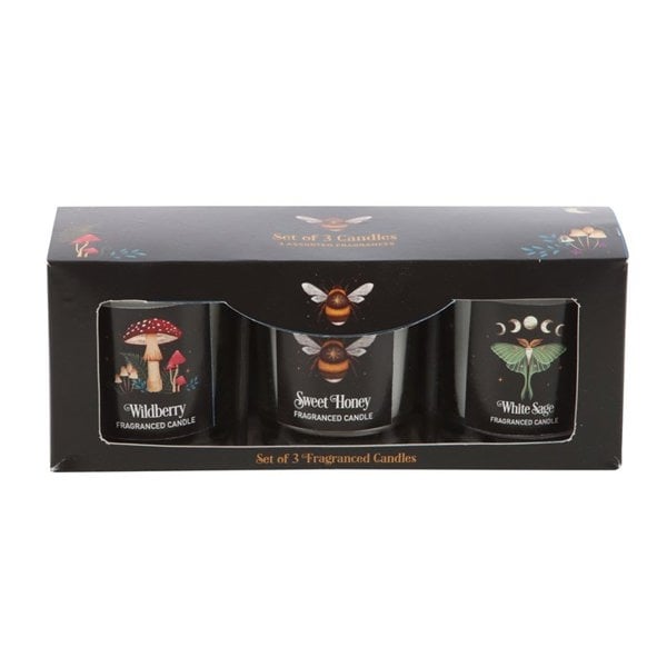 Serano Dark Forest Votive Candle Trio