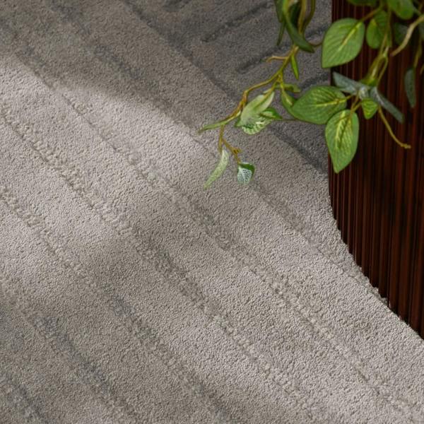 Gray textured rug with a plant on a wooden floor