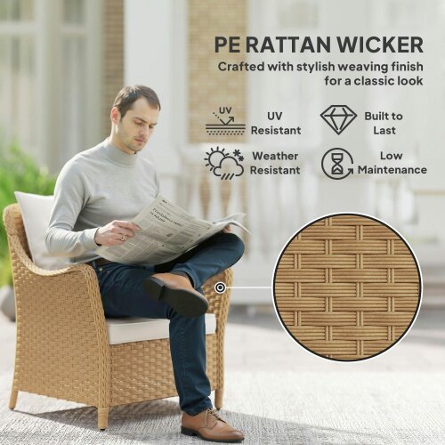 Wyld Haus Rera Rattan Beige Set Of 2 Outdoor Armchairs With Cushions Armrests And High Back