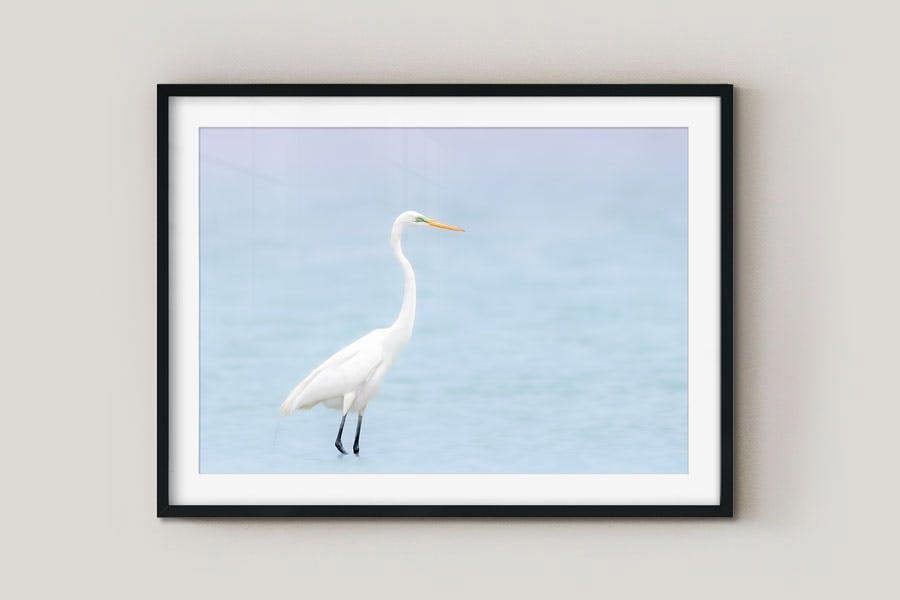 framed wildlife print