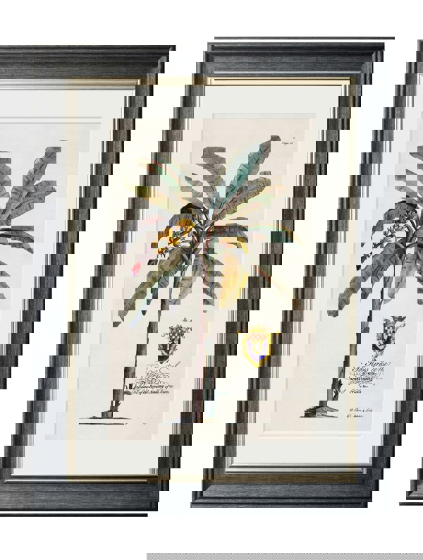 Exceptional Art Studies of Palms