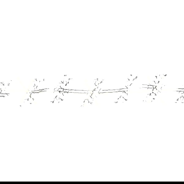 Samuel Alexander 2.6m Set of 10 Snowflake Curtain Lights 258 Rainbow LEDs MicroBrights String Lights