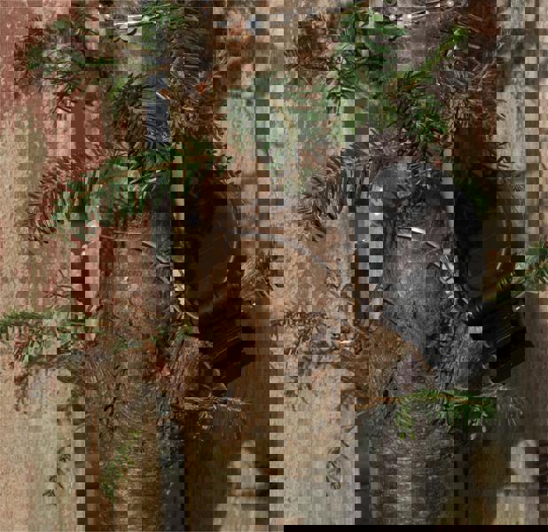 Luxform Solar 50 Led Microlight Pearl Romantic Blue