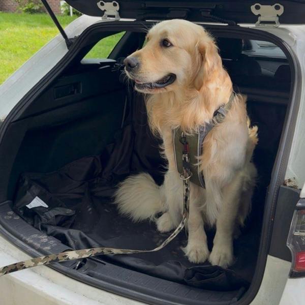 Town & Country Covers Waterproof Car Boot Liner