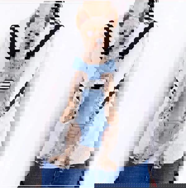 Anywags Anypet Pet Carrier Medium Pink Denim Backpack for Outdoor Travel With Front Pocket for Medium Size Pets