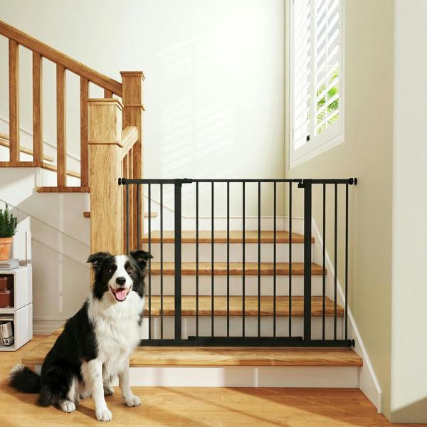 Pet Gate