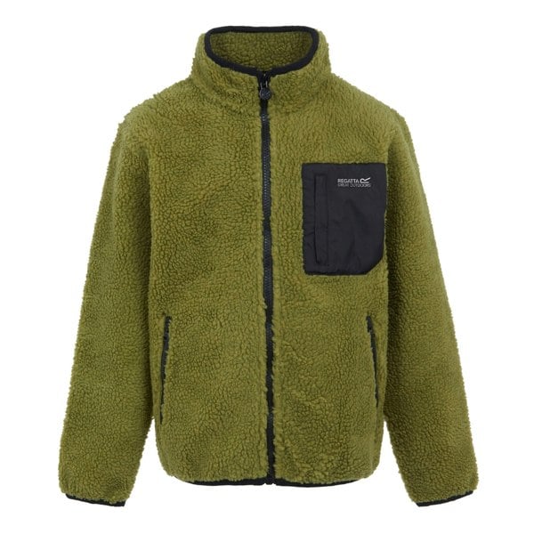 Regatta Childrens/Kids Frankie Full Zip Fleece Jacket - Nephrite Green