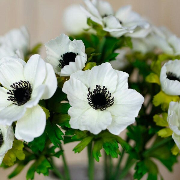 Wyld Haus Set of 3 Artificial Flowers White Anemone Sprays