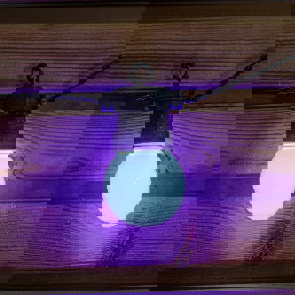 Samuel Alexander Set of 10 Indoor Outdoor Connectable Party Festoon Lights with Multi-Coloured LEDs