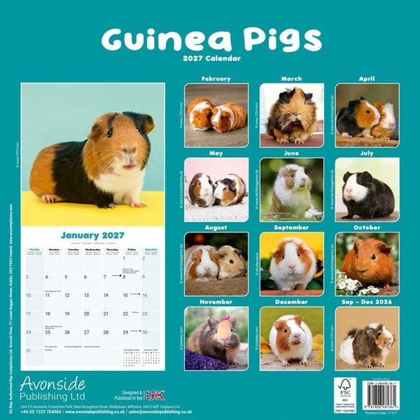 Guinea Pigs Calendar 2027, Wall Calendars, Month To View, Animals, Gift