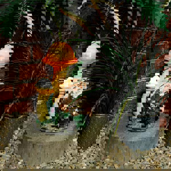 St Helens Male Gnome under light up mushroom