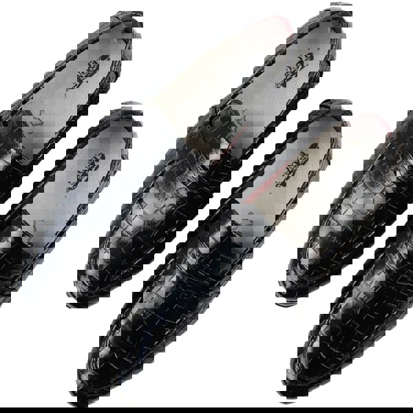 el0839_shoes_Black_10, el0839_shoes_Black_11, el0839_shoes_Black_6, el0839_shoes_Black_7, el0839_shoes_Black_8, el0839_shoes_Black_9