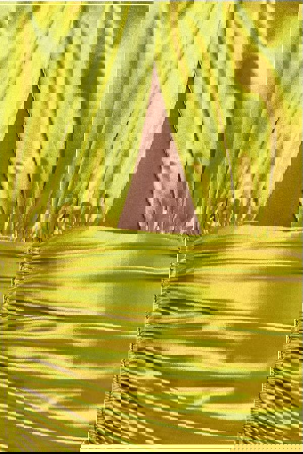 Halter Neck Front Split Satin Maxi Dress - Lime Green DR4398