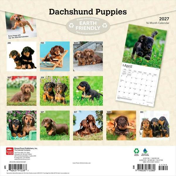 Dachshund Puppies Calendar 2027, Wall Calendars, Month To View, Dogs, Gift