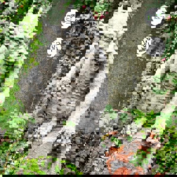 Stone Cast Guardian Gargoyle Statue