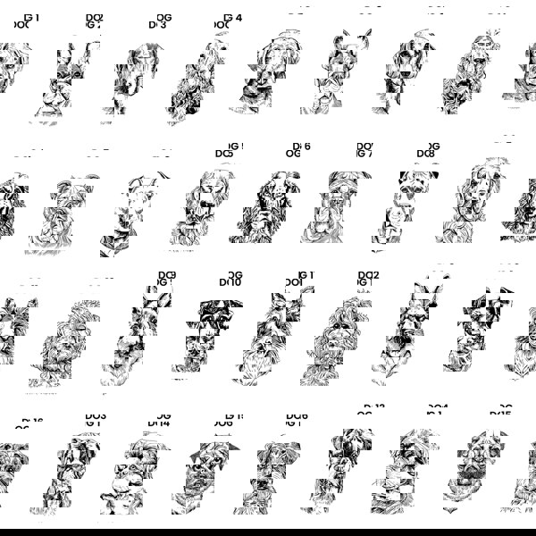 Personalised Memento Company Personalised Dog Breed White Wooden Storage Box