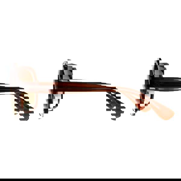 Calvin Klein Sunglasses CK19538S 210 Crystal Brown Brown Gradient