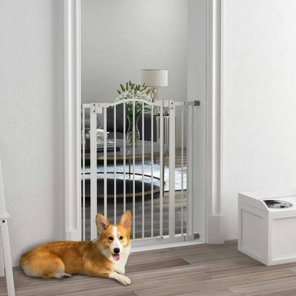 Pet Gate