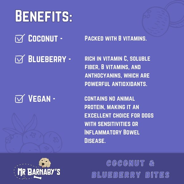 Mr Barnaby’s Coconut & Blueberry Bites (4 Pack)