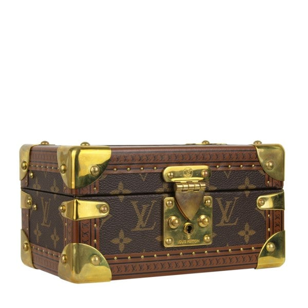 Louis Vuitton Case