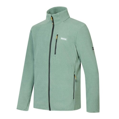 Regatta Mens Brinnden Full Zip Fleece - Dark Forest Green
