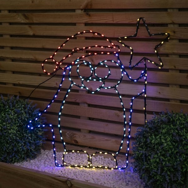 Samuel Alexander 58cm x 52cm Light up FlexiBrights Christmas Penguin with Star & 221 Multi-Coloured LEDs