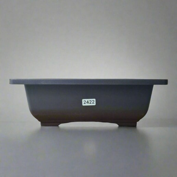 Plastic Bonsai Training Pot | Rectangle | 23cm x 17cm x 8cm - Yorkshire Bonsai