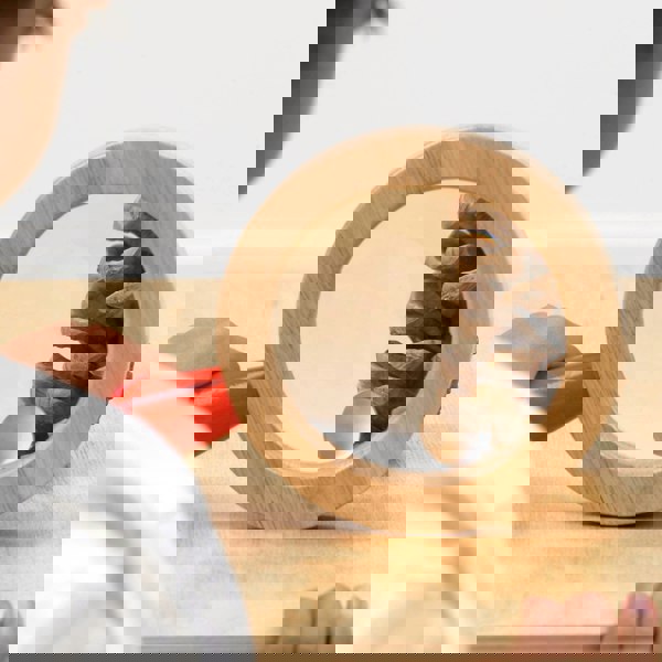 tickit Wooden Hand Lens