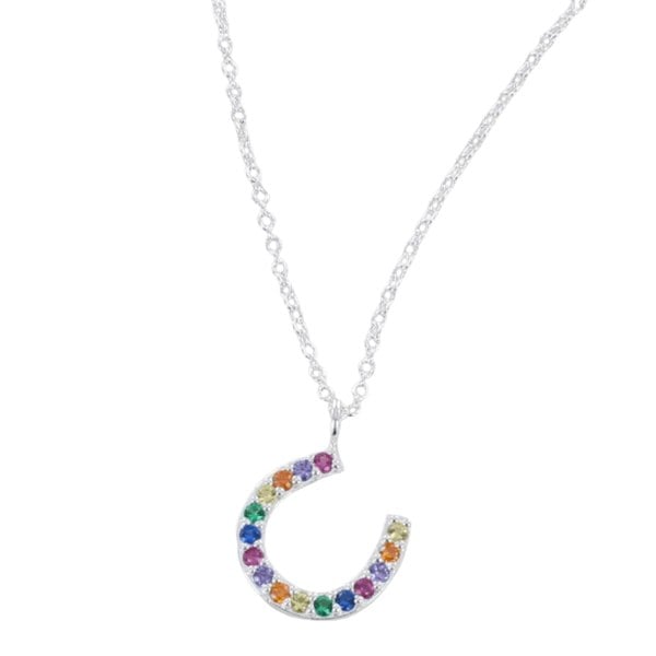 Rainbow Crystals and Sterling Silver Horseshoe Necklace - Reeves & Reeves