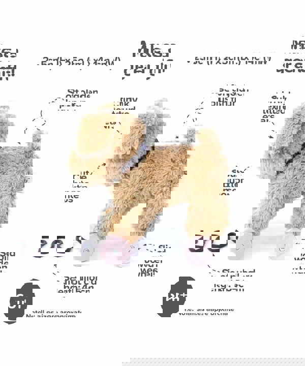 Infographic image of Dexter Dog Pull Along Toy showing features and benefits