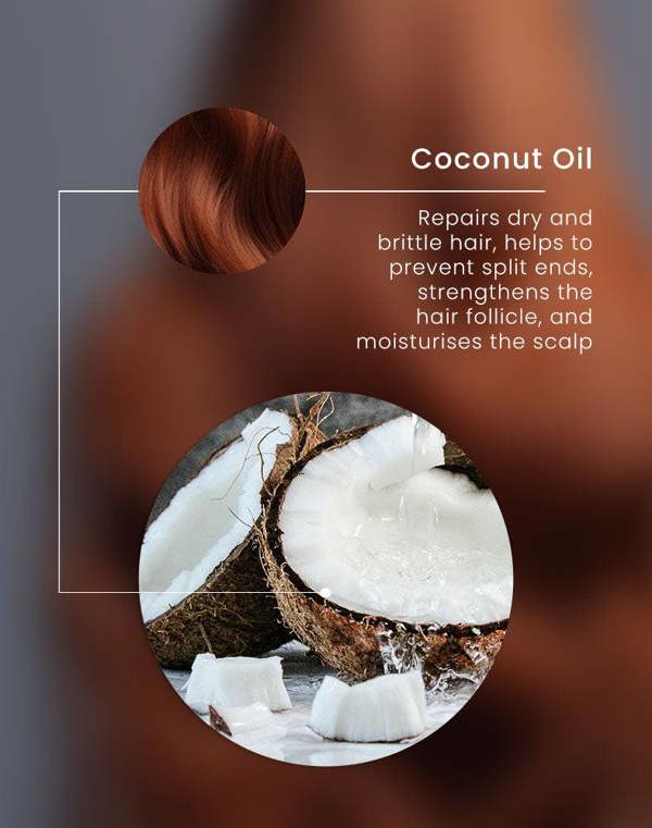 Coconut Oil - Repairs dry and brittle hair, helps to prevent split ends, strengthens the hair follicle, and moisturises the scalp. 