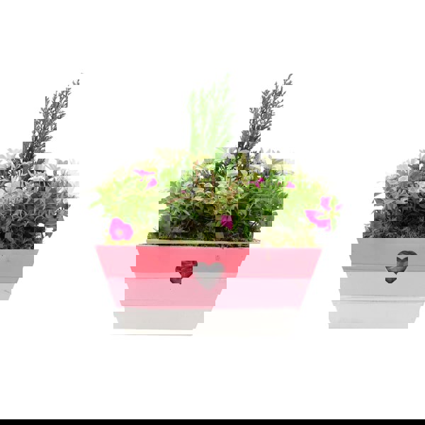 Seasonally Planted Pink & White Wooden Trough Plants By Post