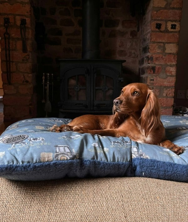 Snug and Cosy Pets Farmyard Blue Lounger