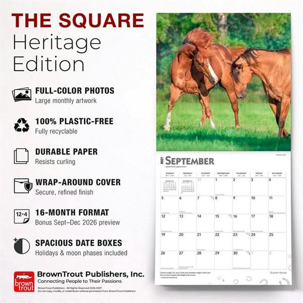 Quarter Horses Calendar 2027, Wall Calendars, Month To View, Animals, Gift